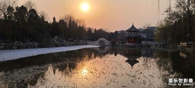 【手機(jī)里的記憶】古蓮花池