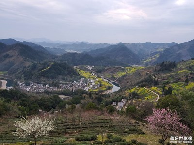 石潭油菜花開了