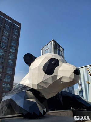 成都的街頭走一走