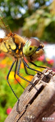 【手機(jī)里的記憶】+難忘的回憶