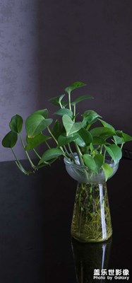 隨處都是風(fēng)景