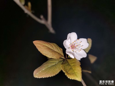 簡簡單單一幅畫