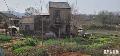 春回大地萬物復蘇