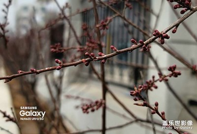 春天的氣息越來越濃郁