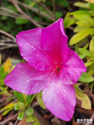 22u體驗隨拍直出