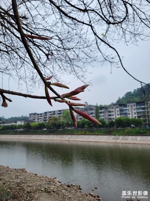 閑著沒(méi)事，發(fā)一組圖片