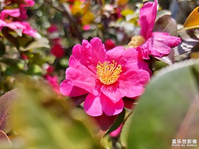 【熱愛生活】春天的氣息