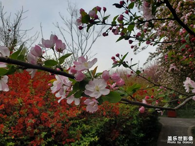 【熱愛生活】植物園隨拍