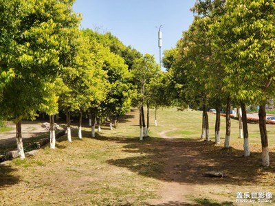 靜觀－臺(tái)農(nóng)園