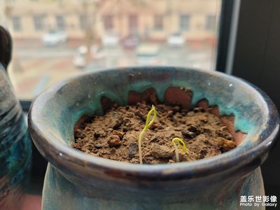 三月的最后一天
