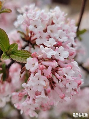 清明去鄉(xiāng)下