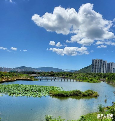 三亞防疫時候的美景