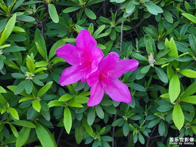 一個(gè)淡藍(lán)色的下午