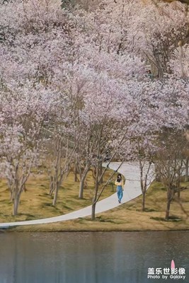 最是一年春好處