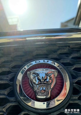 高樓林立大桐廬