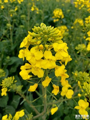 封了？瘋了！