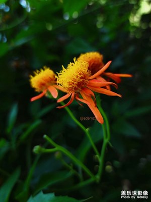 【春日幸事】+萬物新生