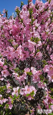 抓住春天的尾巴