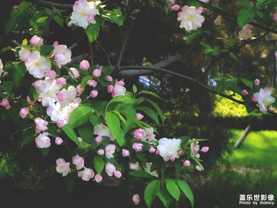 春風(fēng)十里不如你