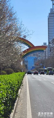 【日常隨拍】+ 上班路上

