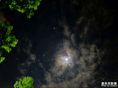 【夜城春】+春天，隔離小區(qū)春夜隨拍