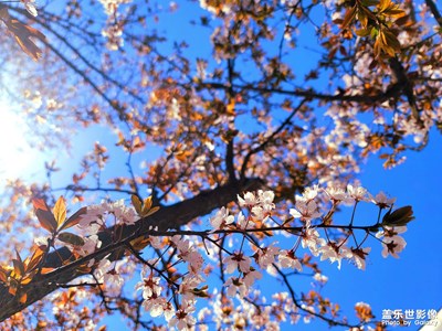 日常隨手拍就是喜歡隨手拍