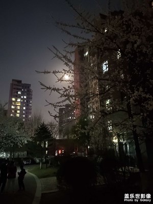 【夜城春】+小區(qū)夜景