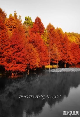 日常隨拍＋我和我的galaxy