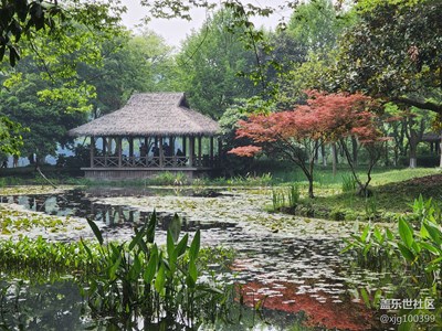 杭州西湖茅家埠春色