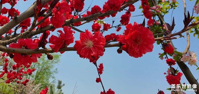 【蓋樂世影像周賽第236期】——隨拍

