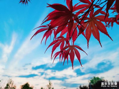 天空藍(lán)，映天之紅