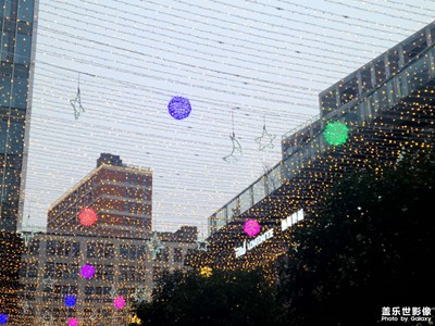 【夜城春】孤獨的夜