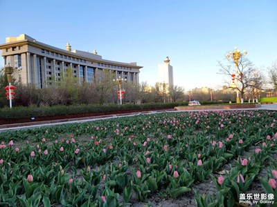 今日照片   我生活的城市