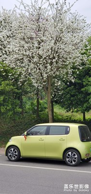 【夜城春】春色關(guān)不住