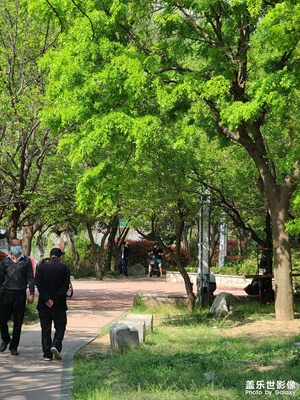 【四月物語】+街拍