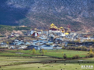 香格里拉4月19日納帕海騎行