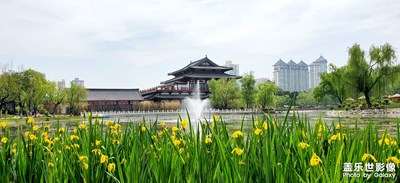 興慶公園