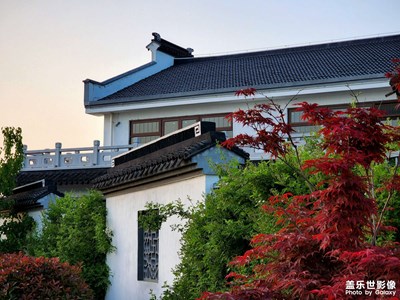 又來曬S22U的照片了