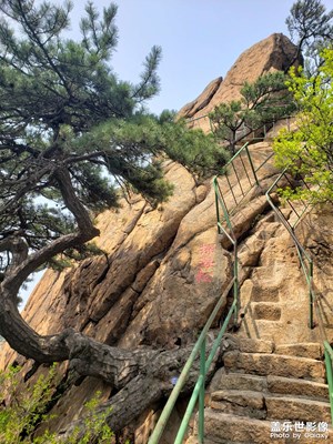 千山歡迎您（2）