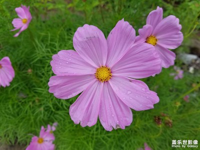 三星s8老當(dāng)益壯