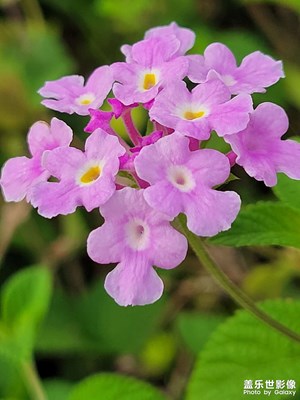 【我的五一】郊游隨拍