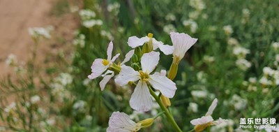 領(lǐng)著小公主去姥姥家啦