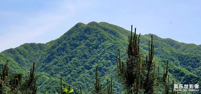 [我的五一]之層巒疊嶂（2）