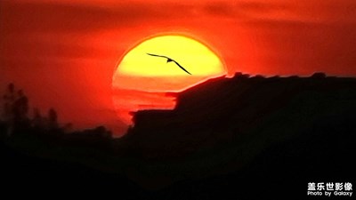 【夜城春】+夕陽下