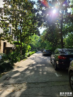 小區(qū)隨手拍