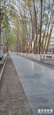 晚上8點的青海西部