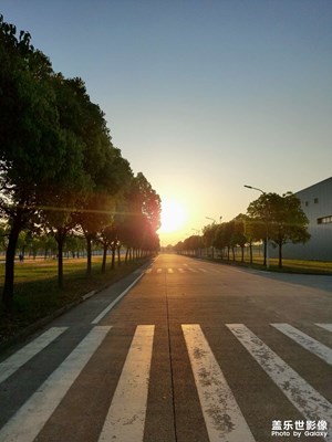三星A90拍攝早晨的陽(yáng)光大道