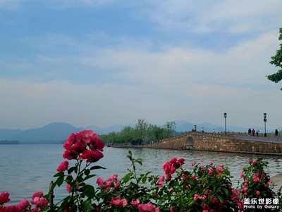 初夏?晃晃悠悠的西湖