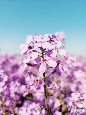 【五一生活隨手拍】