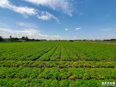 【時(shí)光正好】+空靈天遠(yuǎn)